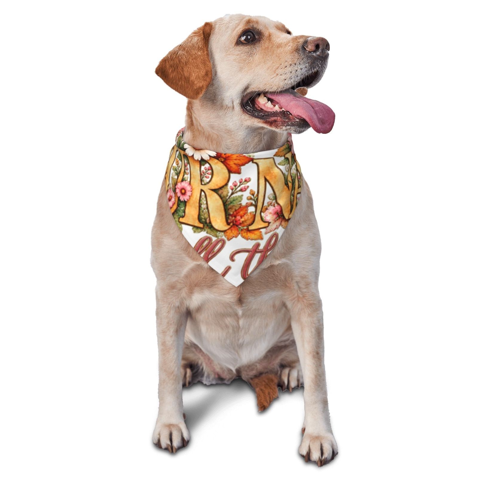 Retrato floral de Acción de Gracias Bufanda para mascotas